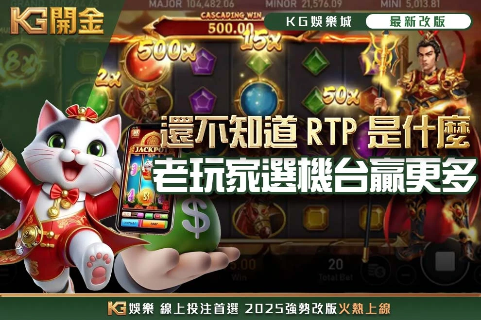還不知道RTP是什麼